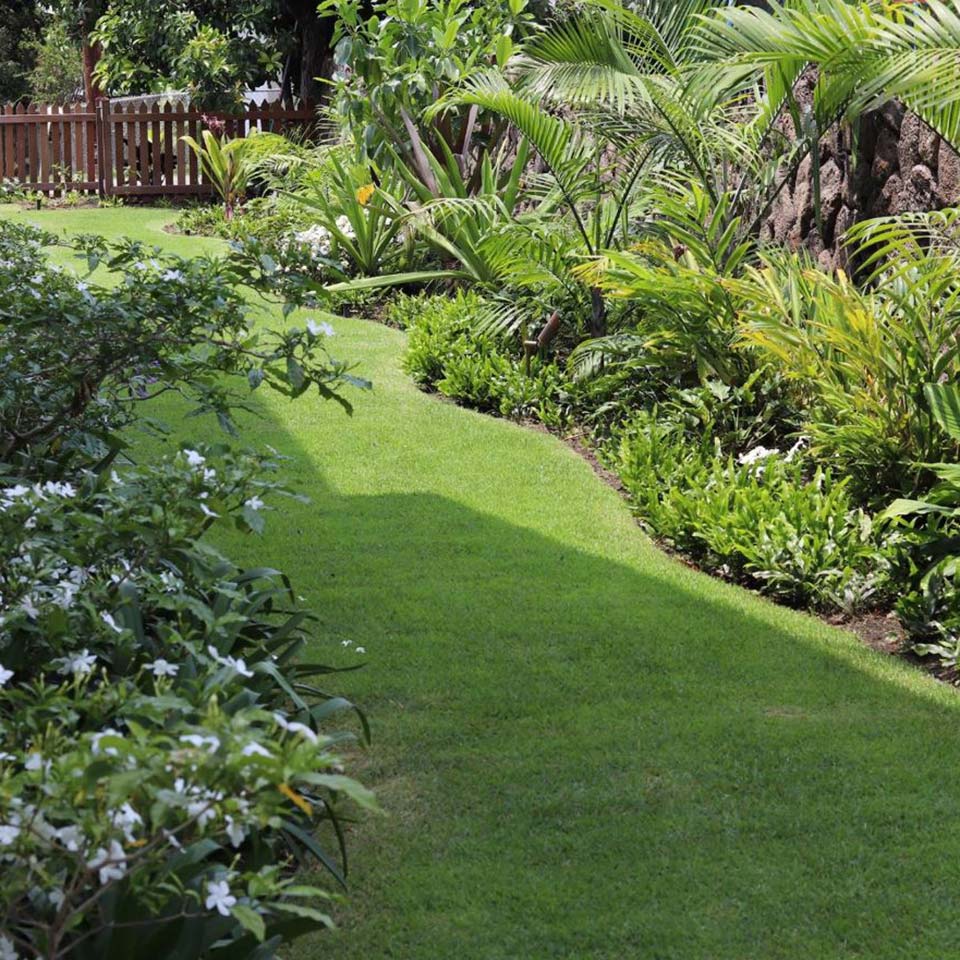 mobile backgorund image of beautiful Honolulu home with landscaped yard by Pacific Outdoor Living.