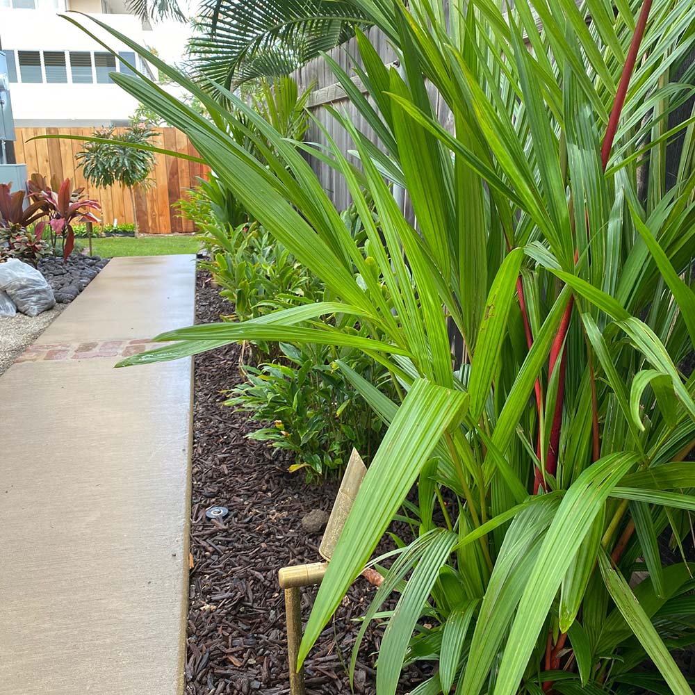 image of beautiful yard plants and rocks installed by Pacific Outdoor Living