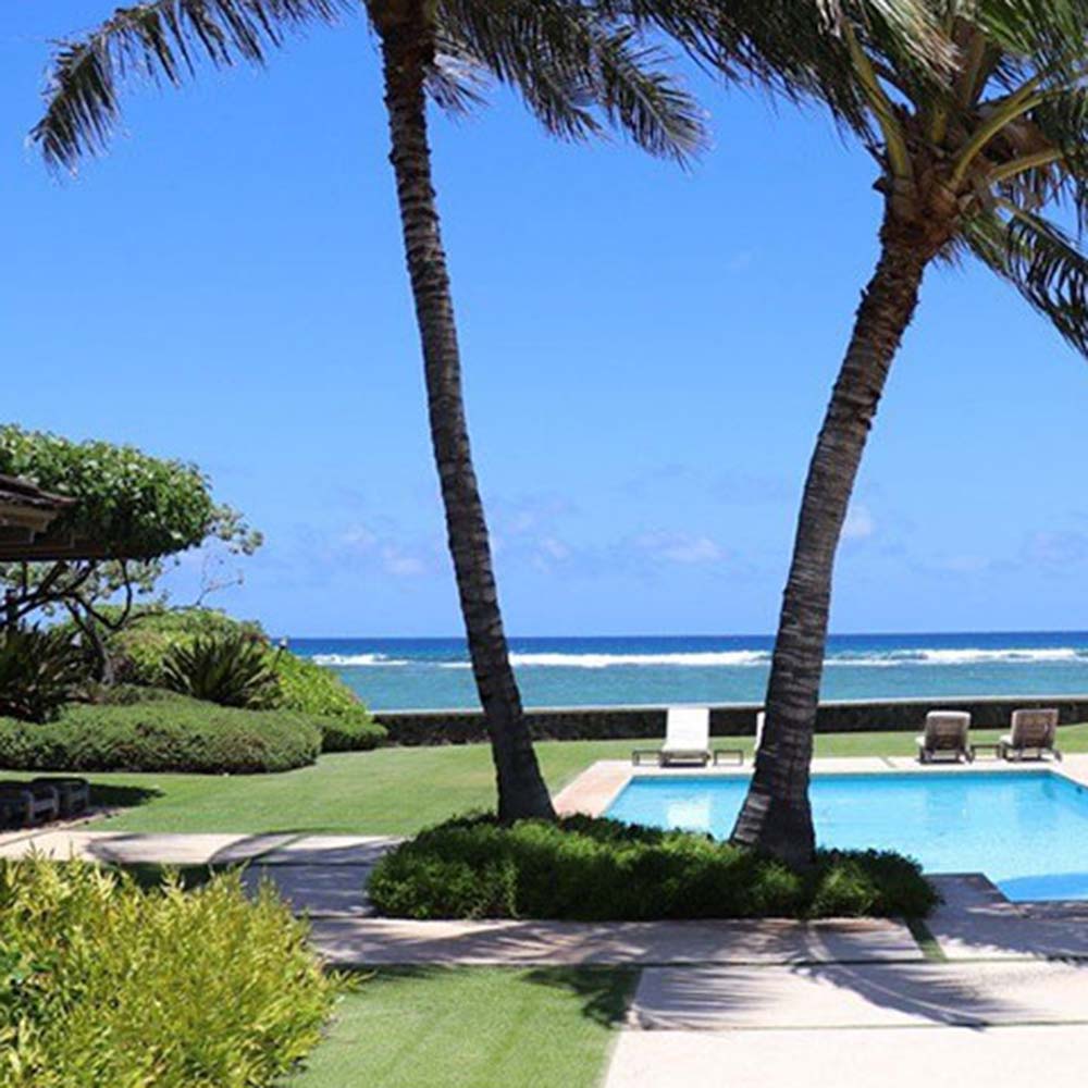 image of palm trees over landscaped pool area