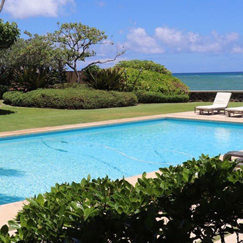 image of landscaped yard near pool