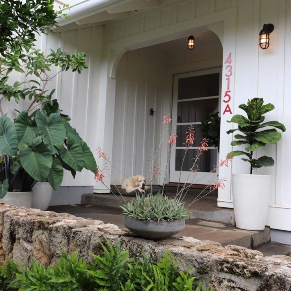 image of nice landscaping around front entry