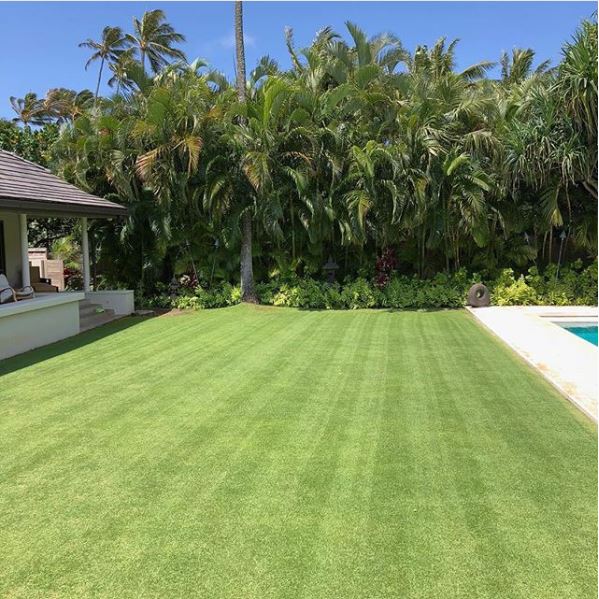 Image of beautiful lawn