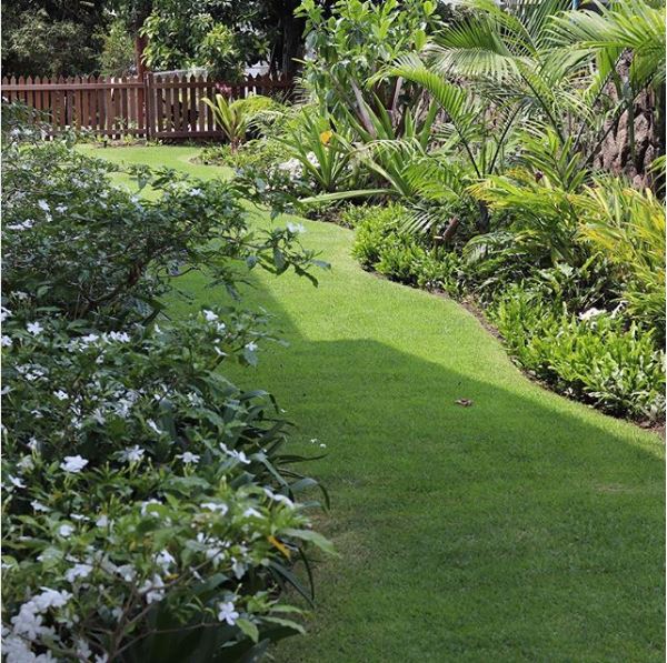 image of lawn and plants installed by Pacific Outdoor Living